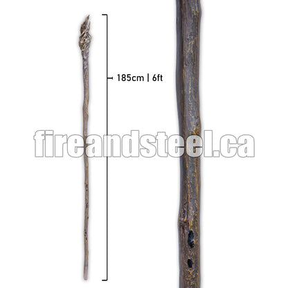 Wandering Wizard's Staff